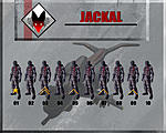 Command Stucture Jackal